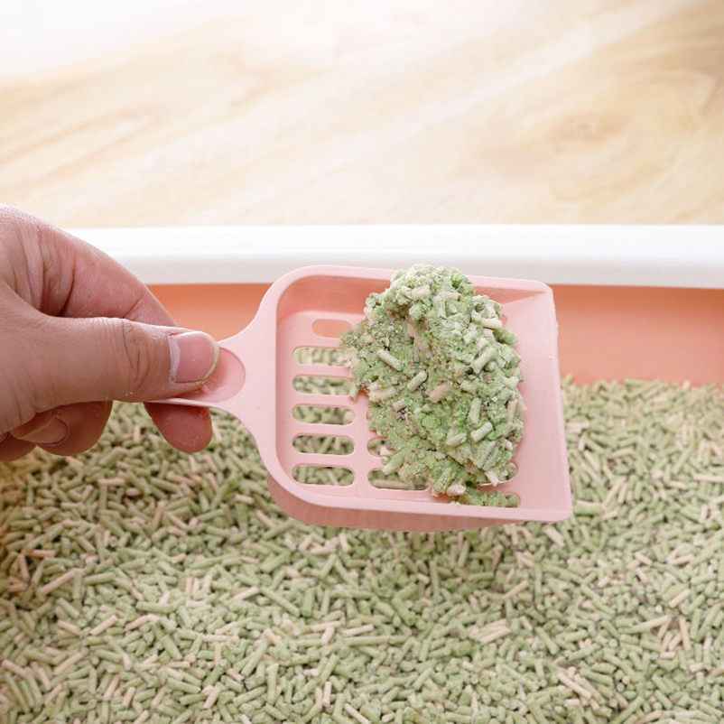 Nouvelle pelle à litière pour  - Food Storage With Scoop avis et prix