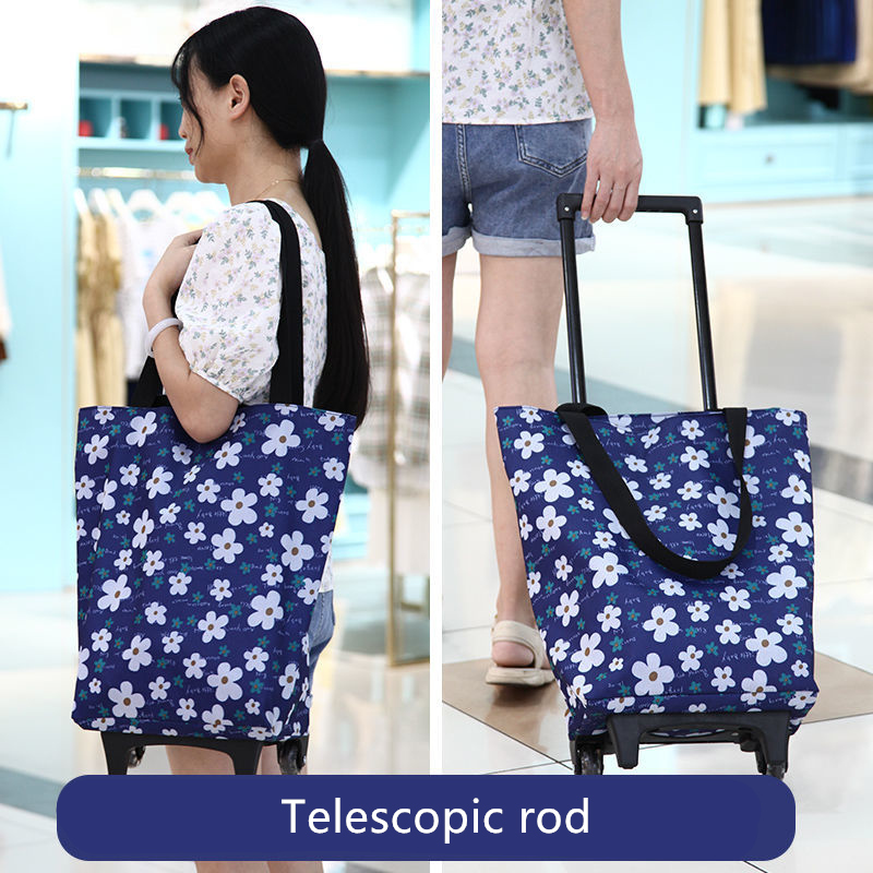 Sac à Roulettes Pliable et Réu - Food Storage With Wheels avis et prix