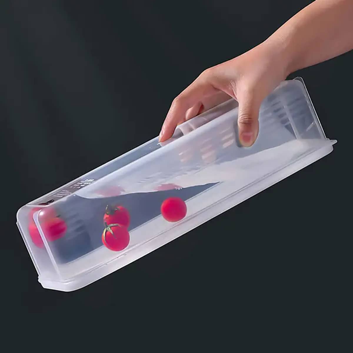 1 boîte de rangement transpare - Food Storage Plastic Boxes avis et prix